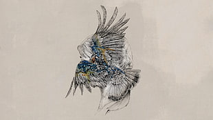 gray and black bird sketch, artwork, Monstercat, Tut Tut Child, wings