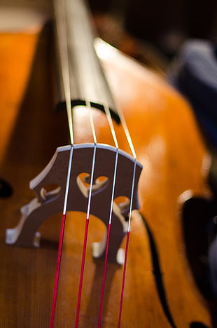 macro shot of violin HD wallpaper