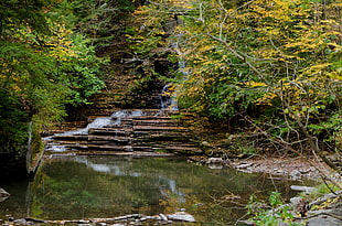waterfall in the middle of green trees HD wallpaper