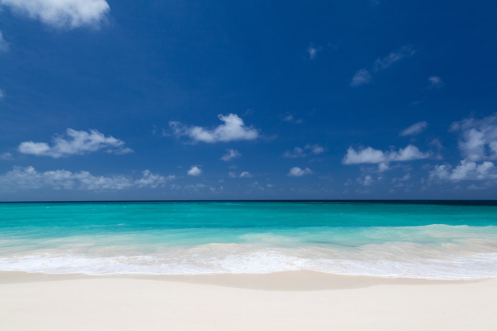 photo of seashore HD wallpaper