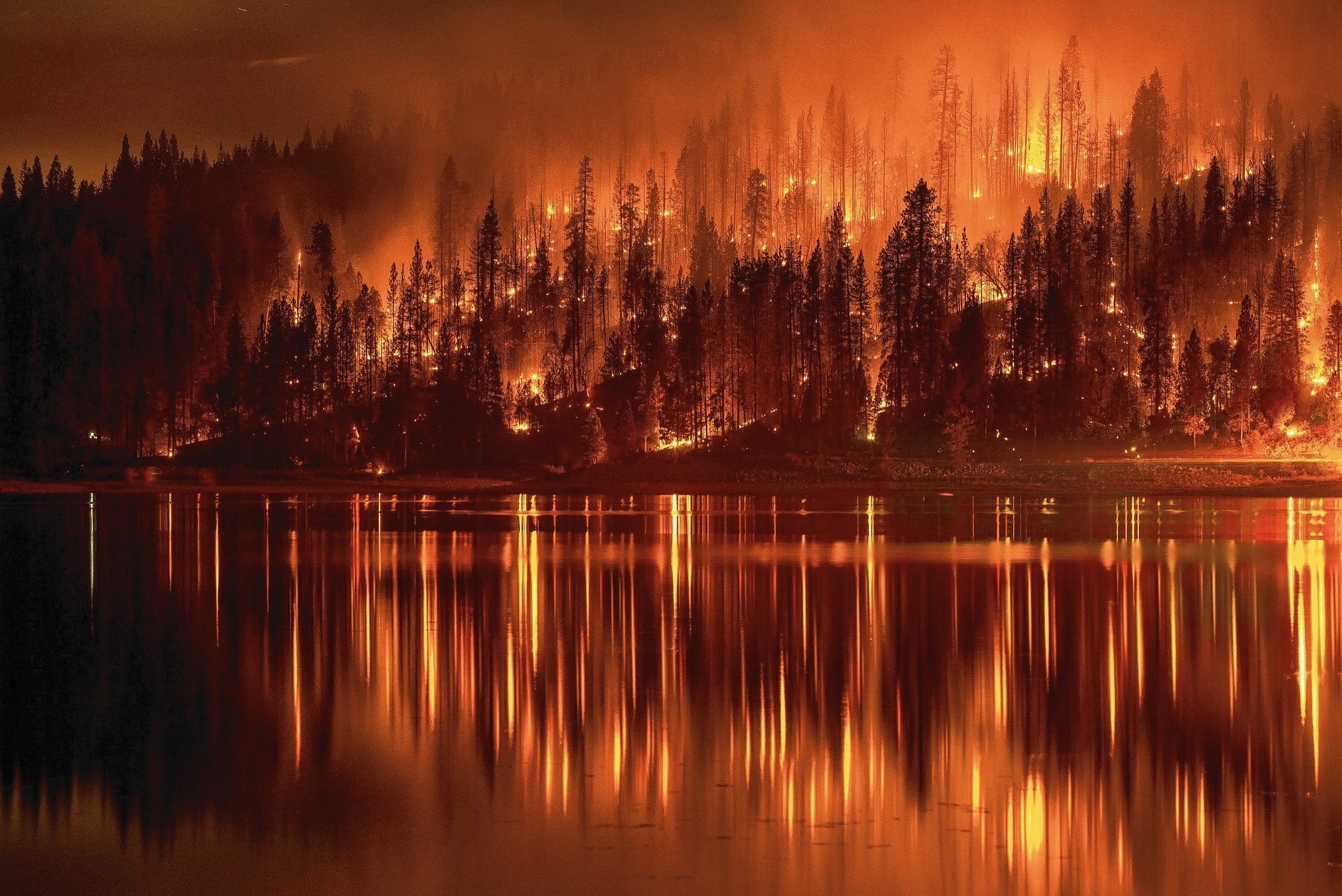 Forest fire digital wallpaper, fire, forest, lake, reflection HD