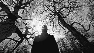 silhouette of man inside forest