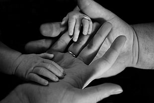 greyscale photo of hands HD wallpaper