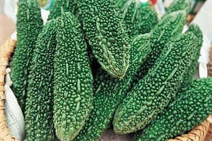 bunch of Bitter gourd HD wallpaper