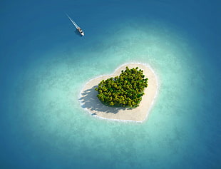 heart-shaped island with trees during daytime HD wallpaper