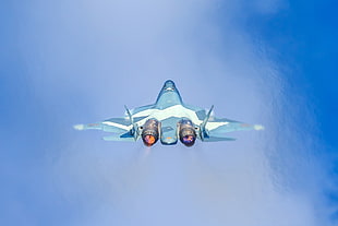 blue and white jet illustration, T-50, military aircraft, vehicle, afterburner
