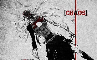 Chaos anime cover, Bleach, anime HD wallpaper