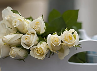 selective focus photo of yellow roses