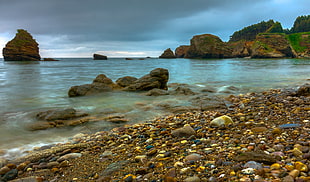brown rock formation near shoreline during daytime HD wallpaper