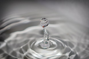 photo of water drop HD wallpaper