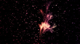 fireworks display HD wallpaper