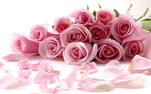 pink Roses bouquet