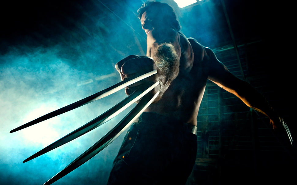 Wolverine digital wallpaper, Wolverine HD wallpaper