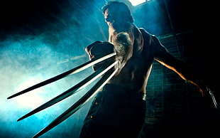 Wolverine digital wallpaper, Wolverine
