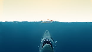 low poly, Jaws, swimming, water HD wallpaper