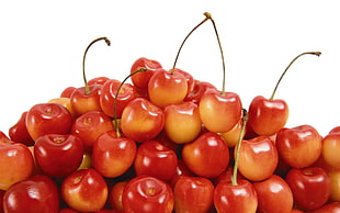 closeup photo of bunch of cherry fruits