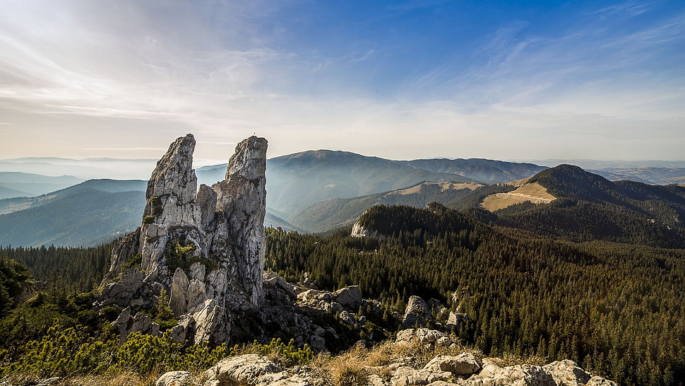 brown mountain, landscape, mountains, forest HD wallpaper