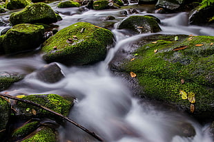 rock with moss with water HD wallpaper