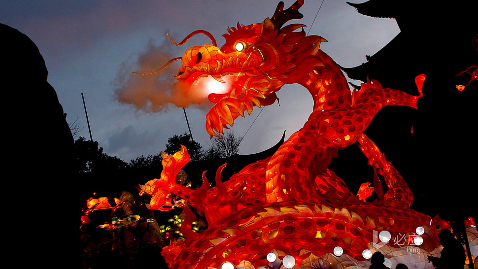 red dragon figurine, photography, Chinese, chinese dragon, festivals HD wallpaper