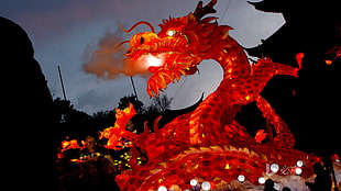 red dragon figurine, photography, Chinese, chinese dragon, festivals HD wallpaper