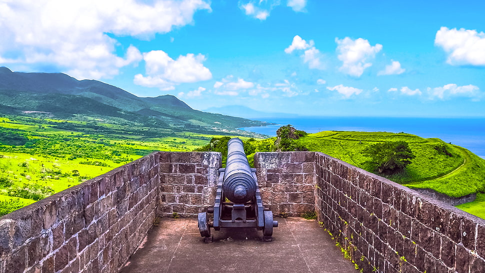 black cannon between concrete bricks HD wallpaper