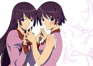 two anime women illustration