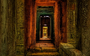 photo of concrete hallway, architecture, interior, abandoned, wall HD wallpaper