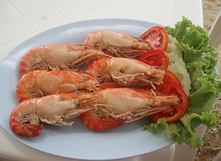 six cooked shrimp and lettuce on white plate