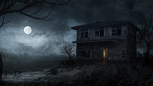 wooden 2-storey house under fullmoon, night, Moon, moonlight, swamp