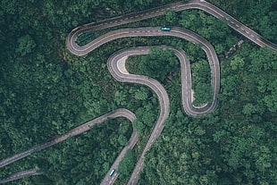 aerial photography of road surrounded trees