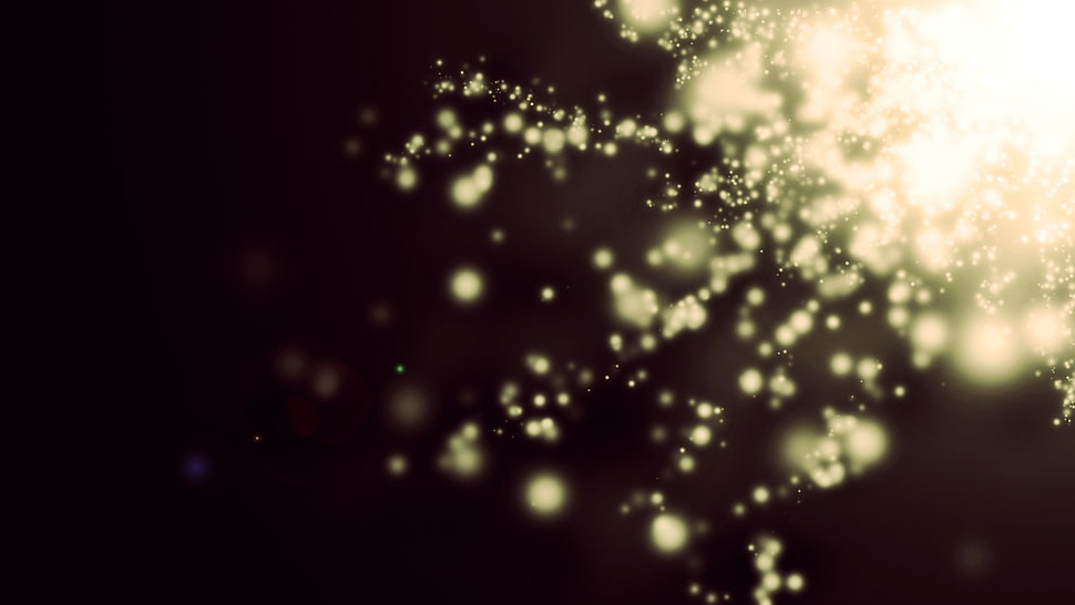 macro shot of yellow light HD wallpaper