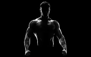 silhouette of man, men, silhouette, muscles HD wallpaper