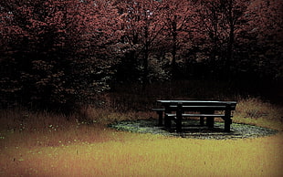 black wooden picnic bench on ground HD wallpaper
