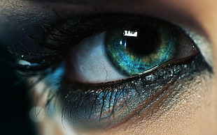 closeup photography of person's eye