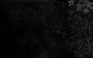 white floral background, black, flowers, dark, abstract