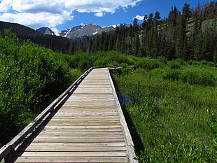 brown pathway in between green grasses during daytime, rocky mountain national park