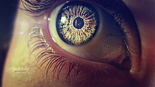 close-up photo of person's eye HD wallpaper