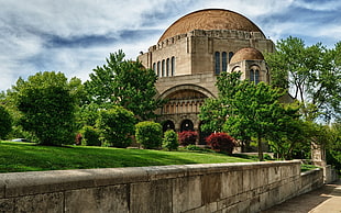 brown concrete dome surrounded by green tall trees