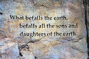what befalls the earth befalls all the sons and daughters of the earth text HD wallpaper