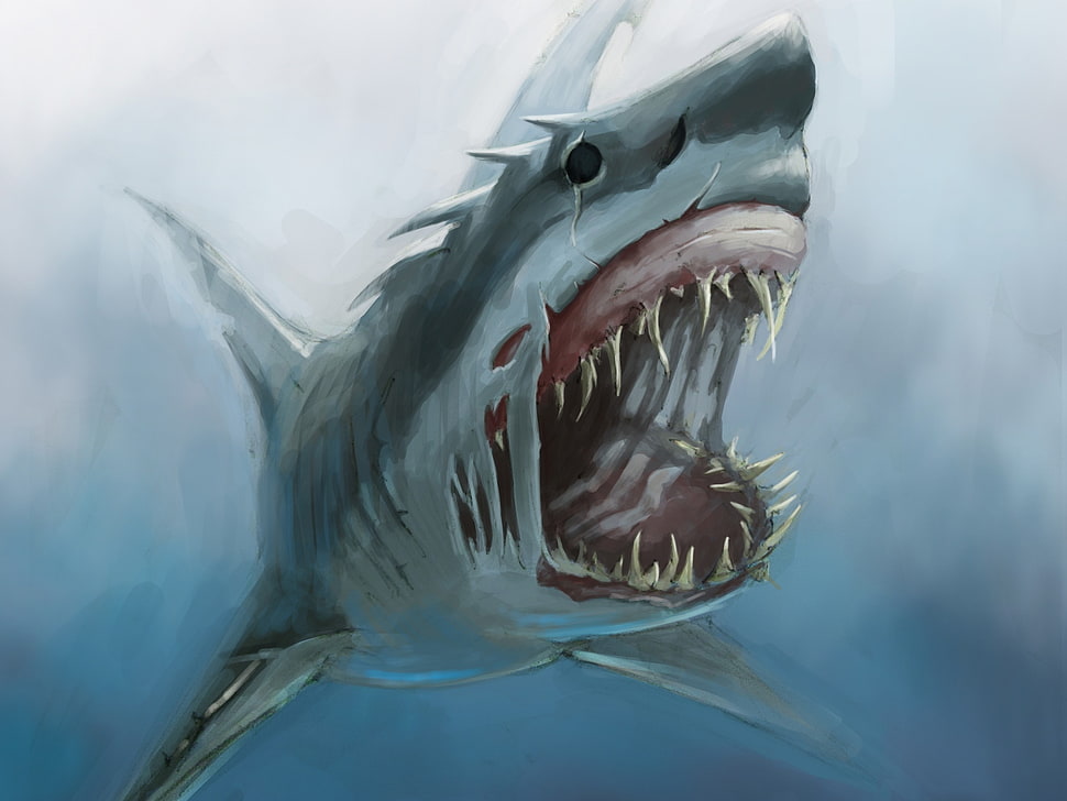 gray shark painting, sea monsters, shark, drawing HD wallpaper