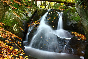 low waterfalls during daytime