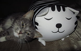 silver tabby cat lying beside cat pillow