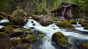 brown wooden house, cabin, long exposure, water, forest HD wallpaper