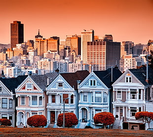 assorted-color house lot, city, house, building, San Francisco HD wallpaper