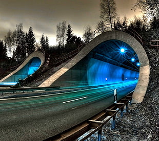 gray concrete tunnel, long exposure HD wallpaper