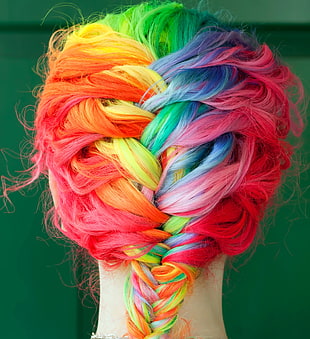 multicolored hair, dyed hair, colorful, braids