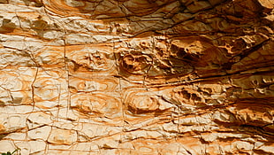 brown rock, nature, landscape, rock, orange background HD wallpaper
