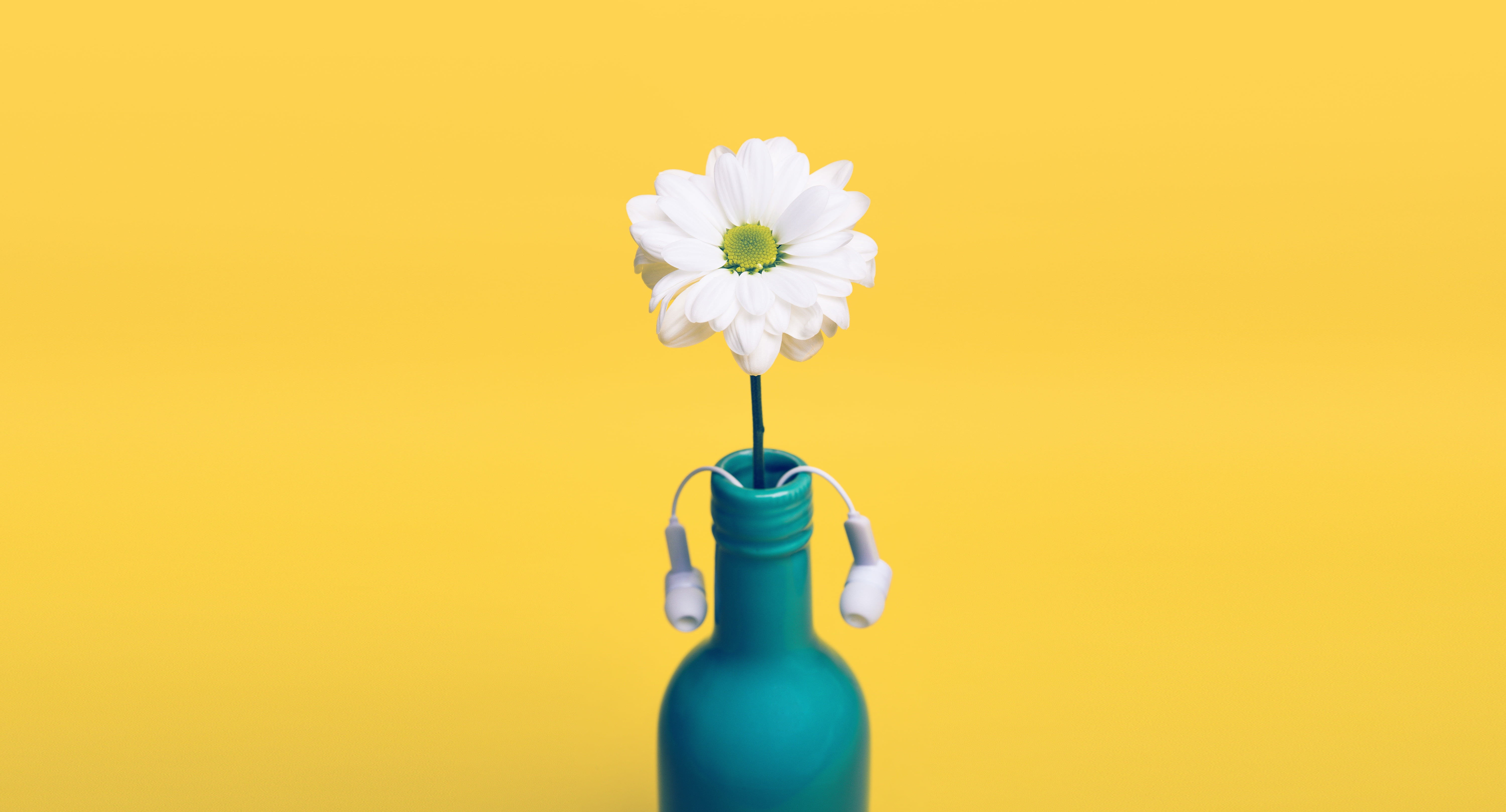 white petal flower in blue bottle vase with canal buds