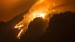 forest fire during nighttime HD wallpaper
