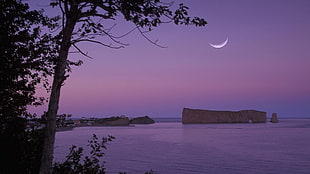 crescent moon over brown rock on body of water